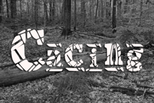 Cacing: A Funky Display Font for Bold Digital Branding