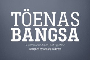 Toenas Bangsa: A Versatile Slab Serif Font for Branding & Display